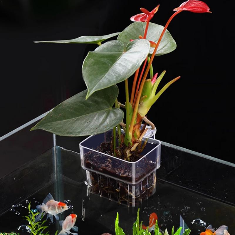 Aquarium Pflanzenhalter Aquarium Pflanzenkorb mit Haken Aquarium Pflanzenbecher Wasserpflanzenbecher Aquarium Dekorationen Pflanzen Topf