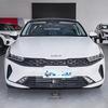Kia K5 (2020-2025) Front Grille Air Intake Assembly - High/Low Trim Bumper Mesh Grille