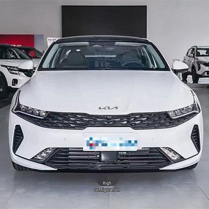 Kia K5 (2020-2025) Front Grille Air Intake Assembly - High/Low Trim Bumper Mesh Grille