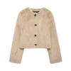 Fashion Style 2024 Fall and Winter New Women's Clothing Easiest for Match Artificial Fur Effect Short Jacket 6318269