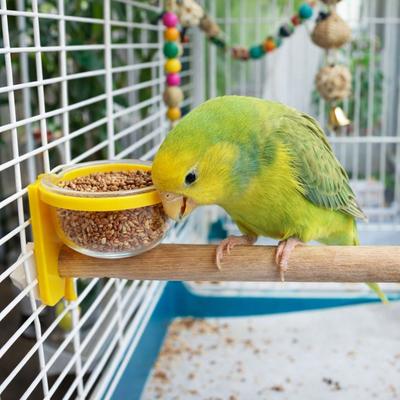 Wear-resistant Bird Cage Feeder Interactive Paw Grinding Bird Feeding Cup Non-slip Parrot Standing Pole For Cage