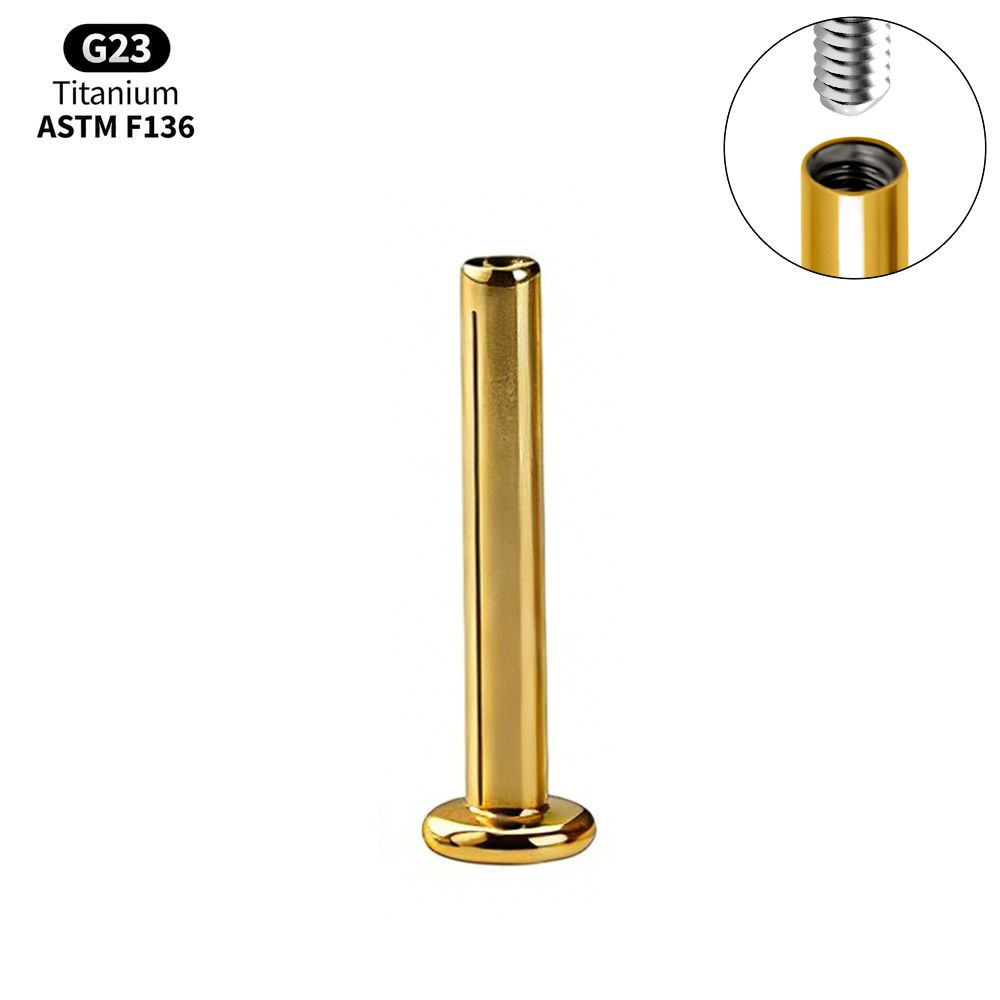 1/10 Pezzi Titanio Labret Stud Filettatura Interna Push Pin Trago Helix Conchiglia Septum Base Piatta Plug-in Gioielli per Piercing all'Orecchio
