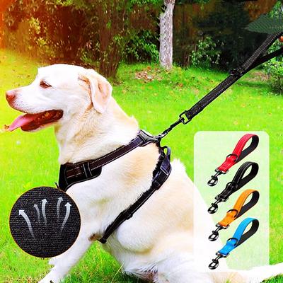 Cães – Colares e correias para cães