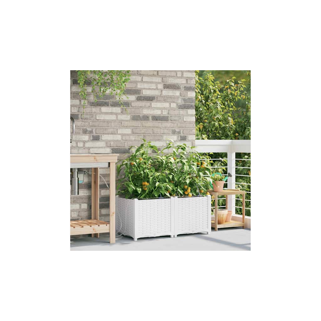 Garden Planter 2 pcs White 80 x 40 x 37.5 cm Plastic