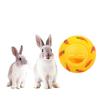 PVC Rabbit Tumbler Ball Bite Resistant Cat  Leaking Ball Small Pet Slow Feeder  Chinchilla