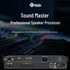 HuiDu DSP260 Professional Speaker Processor (CN Version)