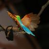 Realistic Bird Decoration Polyethylene Feathered Figurine for Christmas Party and Halloween Home Decor