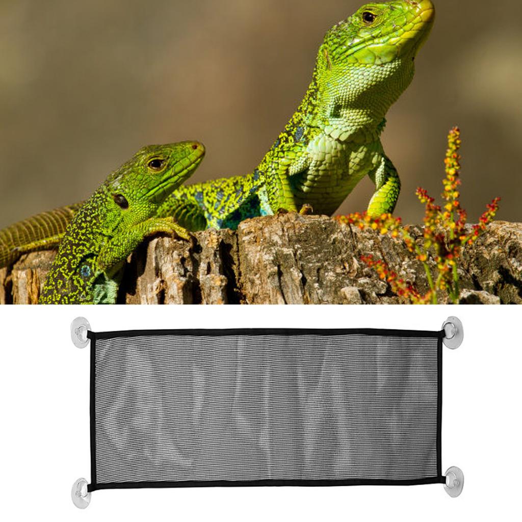 Reptile Mesh Hammock Rectangle   Hanging Reptile Breathable Net Hammock Bed with Suction Cups for   Snake