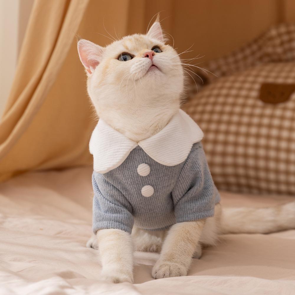Autumn and Winter Cat Clothes Soft and Cute Two-color Button-down Bottoming Shirt Lace Lapel Collar Two Feet German Cat Hairless Cat Pet Clothes