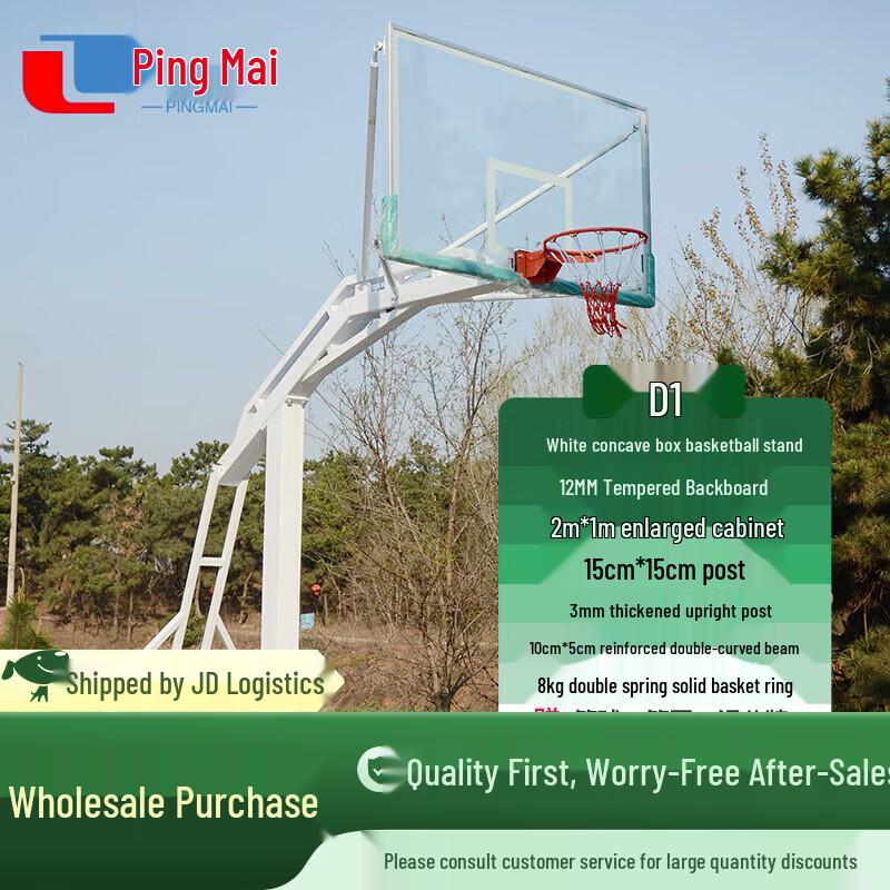 Pingmai Portable Basketball Hoop