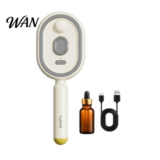 Retractable Steam Comb 1/2Pcs Electric Spray Air Cushion Brush, USB Rechargeable Misting Massage Scalp Brush Anti-Frizz Self-Cleaning for Dry Damaged B