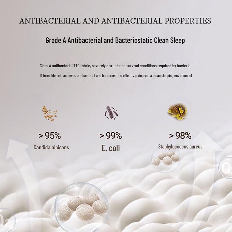 TTC Silent Antibacterial White Goose Down Winter Quilt