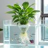 3D Printed Hydroponic Plant Basket Plastic Fish Plant Symbiosis Planter  Hydroponic System