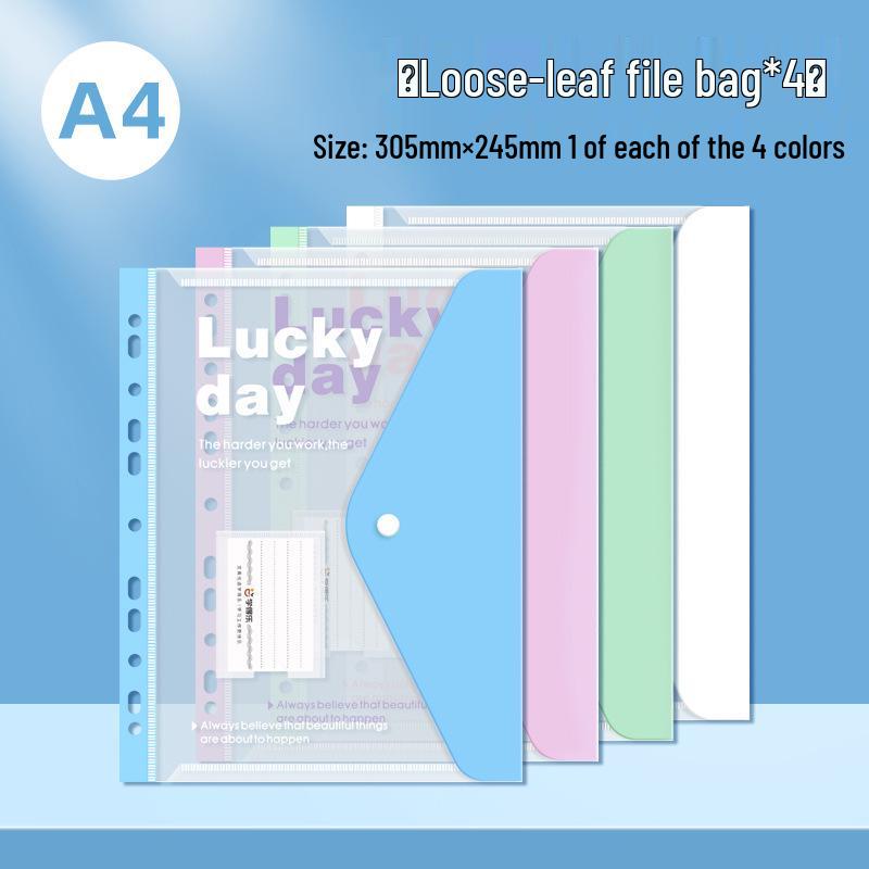 Папка-файл А4 на кольцах для документов и контрольных работ