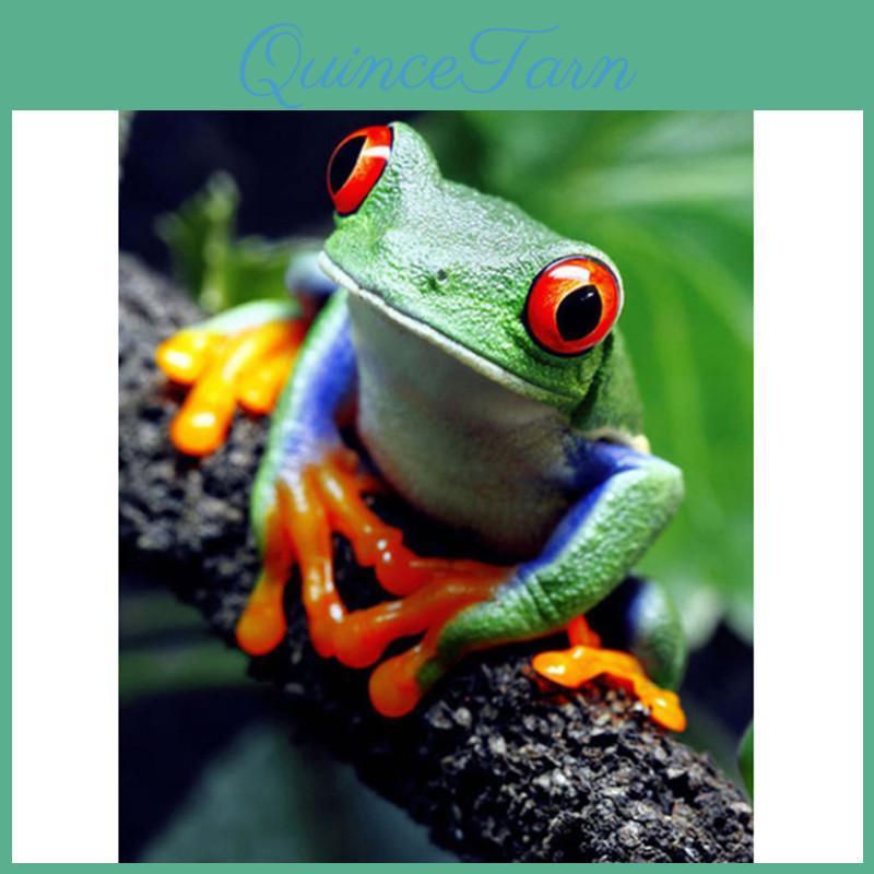 Full Diy 5d Diamond Painting Rainforest Frog Diamond Embroidery Full Lay Anime Cross Stitch Kits Home Decor Handmade Gift