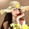 Flower Bow Straw Hat Women's Summer Seaside Beach Vacation Wind Hat Travel Photo Big Brim Sun Hat