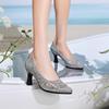 Summer Single Shoes Mesh Breathable Versatile High Heels Women's Shoes Middle-Aged Temperament Pointed Toe Shallow Mouth Shoes