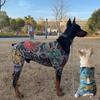Ultra-Thin Mesh Pet Tattoo Vest – 4-Season Breathable Sleeveless Shirt with Cool Prints for Dogs & Cats, Fun & Stylish