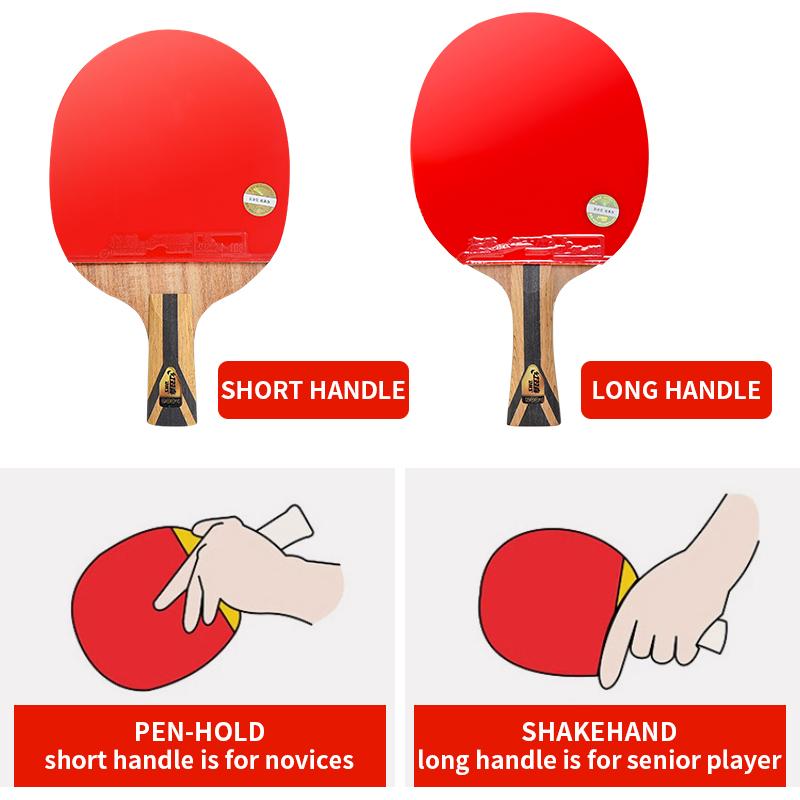 Professional DHS Table Tennis Racket Genuine Paddle Raquetas Tenis De Mesa Carbon Bat ITTF Certified
