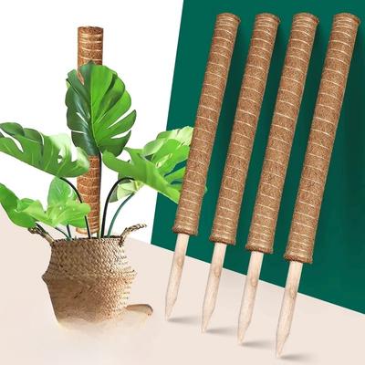 Jardinagem e paisagismo – Suporte de plantas