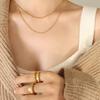 European & American Double Layer Titanium Steel Snake Chain Necklace for Women - Cold, Light Luxury, Simple, Trendy, Clavicle Chain.