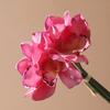 4 Bundles Artificial Phalaenopsis Flower Real Touch Large Fake Orchids Flowers Stem for Vase Home Wedding Party Decor