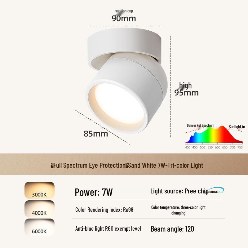 Adjustable Rotatable Surface-Mounted Downlight for Living Room, Aisle, Entrance, Bedroom - No Main Light Required