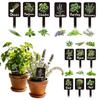 12 stuks Acryl Tuinkruidenborden, Kruidentuin Plantenetiketten Markers voor Buiten Labels Borden met Gedrukte Naam Tuinen Planten Potplanten