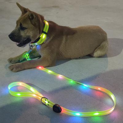 Evcil Köpek LED Işıklı Tasma USB Şarj Edilebilir PVC Dokuma ile Parlayan Evcil Hayvan Tasması Işıklı Yavru Köpek Gece Yürüyüşü Tasmasız