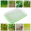 Hydroponic Sprouting Tray For Pea Bean Wheat Cat Grass Soilless Seedling Germination Box Nursery Plate Seed Sprouter Grow Kit