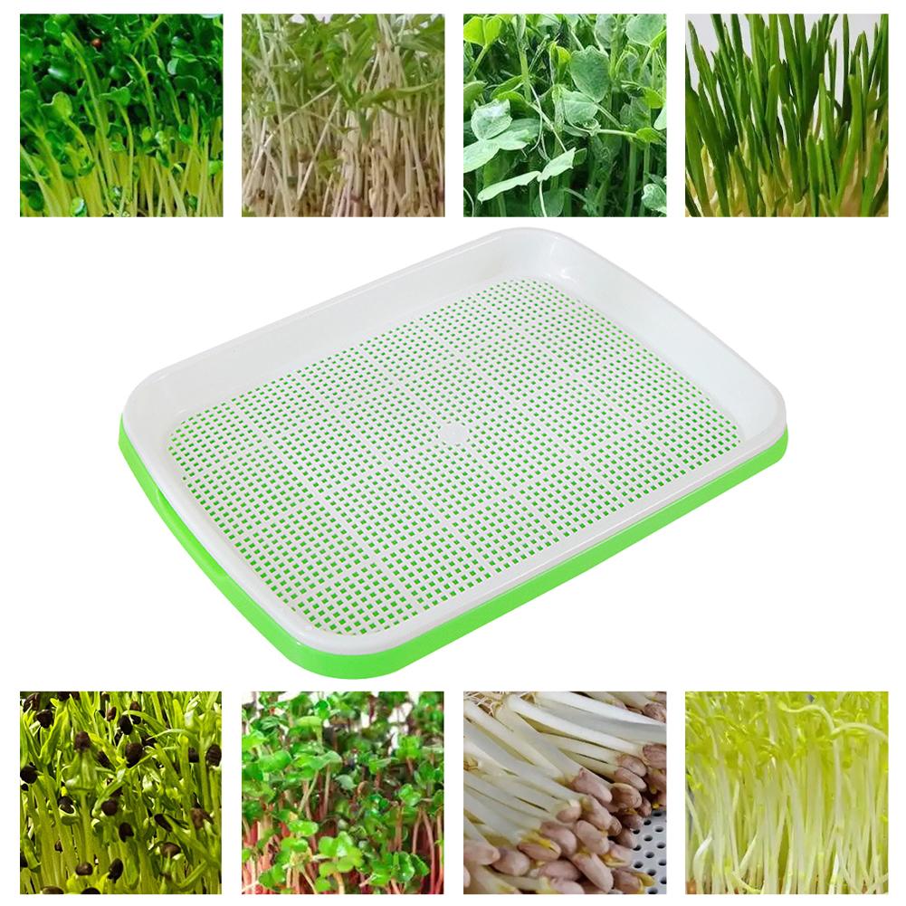 Hydroponic Sprouting Tray For Pea Bean Wheat Cat Grass Soilless Seedling Germination Box Nursery Plate Seed Sprouter Grow Kit