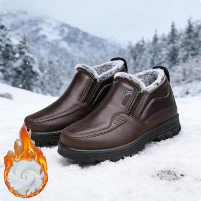 Botins e botas