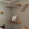 1 pièce Structure d'escalade pour chat en bois Meubles pour chat à monter au mur Échelle d'escalade pour chat Hamac Plateforme de saut pour chat Structure d'escalade