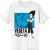 Bioworld Dragon Ball Z DBZ Characters Kanji Mens Grey T-Shirt (Small, S)