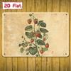 1pc Vintage Strawberry Plant Diagram Wall Plaque, Hand-Drawn Botanical Chart Sign, Educational Art for Study Room