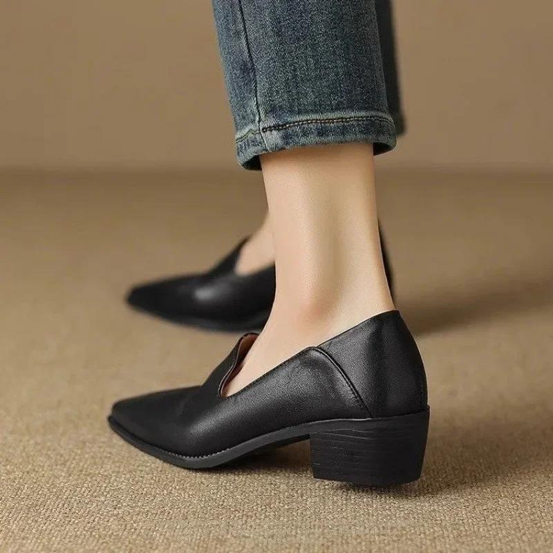 Fashion 2024 New Spring Women Shoes Pumps Pointed Toe Chunky Heel Comfortable All-match Casual Ladies Shoes Genuine Leather Retro Heels