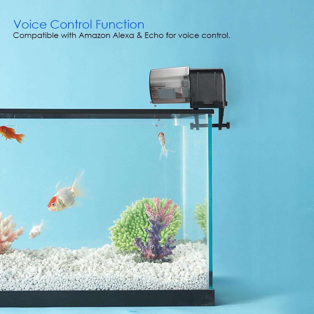 remote fish feeder