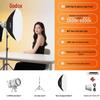 Godox LE200Bi Bi-Color LED Video Light Kit