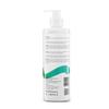 Detox Shampoo for Dry, Frizzy & Damaged Hair | Sulfate & Paraben Free | With Citric Acid, Argan Oil & Keratin | Deep Cleansing Hair Shampoo for Da