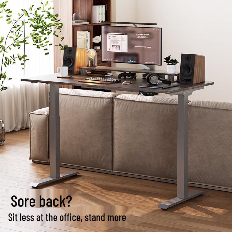 Loctek E3 Electric Smart Standing Desk