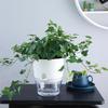 Transparent Plastic Lazy Flower Pot With Double-layer Design And Elegant, Featuring Self-watering Function And Cotton Rope For Drainage.
