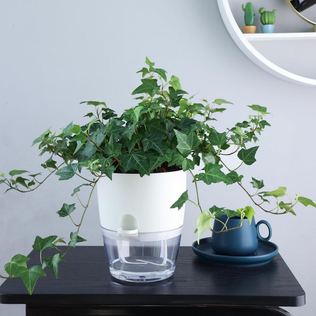 Transparent Plastic Lazy Flower Pot With Double-layer Design And Elegant, Featuring Self-watering Function And Cotton Rope For Drainage.