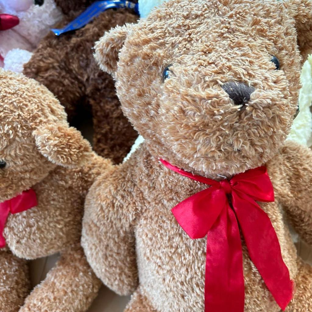 [USED] Teddy bear, Lovely bear, Rose bear, Teddy bear