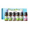 10ml*6