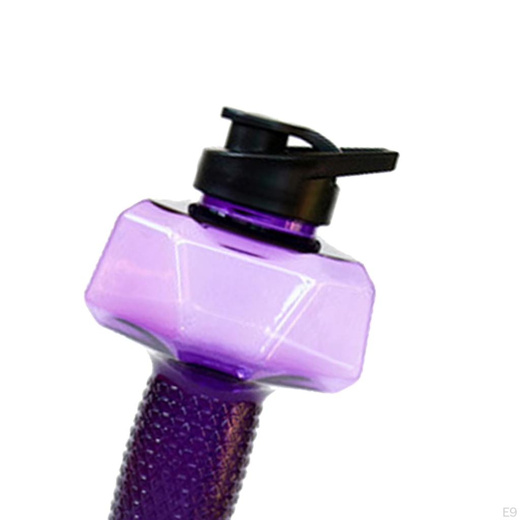 Companion for Fitness Enthusiasts