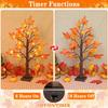 Thanksgiving Decorations, 2 Pack 24''/2FT Prelit Fall Maple Tree Fall Decor Total 48 LED Timer Battery Operated Lighted Pumpkins Acorns Maples Leaves