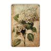 Elegant Hydrangea Vintage Tin Sign  Decorative Floral Metal Wall Art for Home Office or Botanical Gardens Gift Flower L