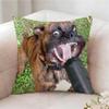 Federa per Cuscino Divertente Meme Cane, Stampata su Entrambi i Lati, Cuscino per Divano, Cuscino per Testiera del Letto