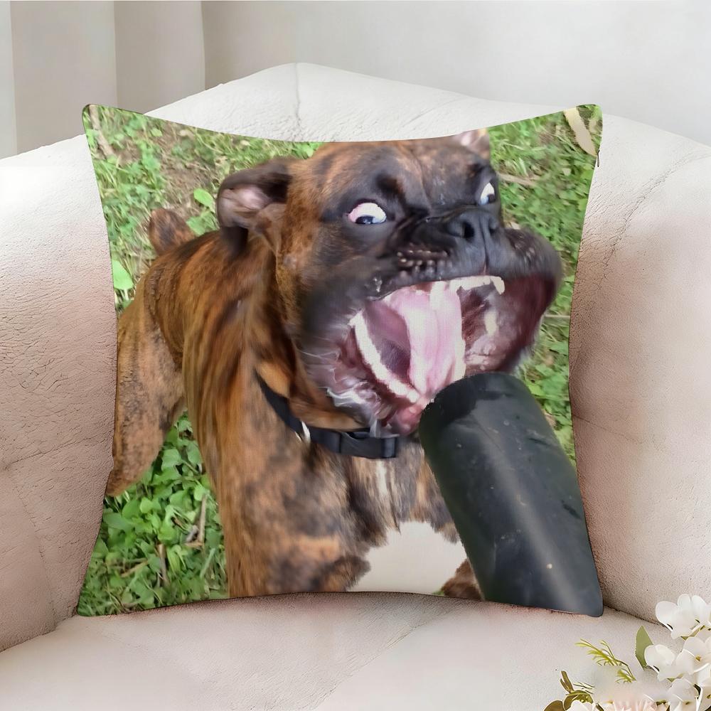Federa per Cuscino Divertente Meme Cane, Stampata su Entrambi i Lati, Cuscino per Divano, Cuscino per Testiera del Letto