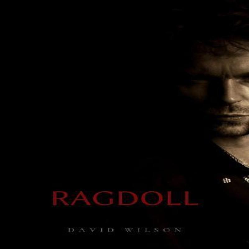 RAGDOLL by David Wilson Paperback Book 9781838339593